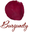 Burgundy Petal