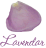 Lavendar Petal