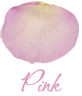 Pink Petal